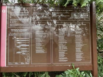 Arboretum (Bad Langensalza)